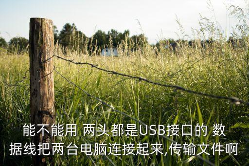 能不能用 兩頭都是USB接口的 數(shù)據(jù)線把兩臺電腦連接起來,傳輸文件啊