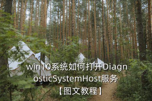  win10系統(tǒng)如何打開DiagnosticSystemHost服務(wù)【圖文教程】