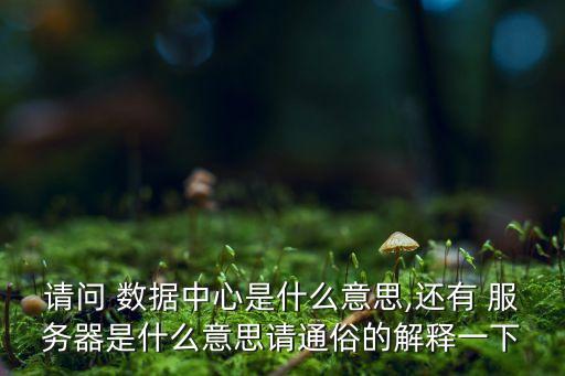 請問 數(shù)據(jù)中心是什么意思,還有 服務器是什么意思請通俗的解釋一下