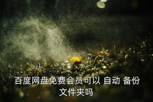  百度網(wǎng)盤免費會員可以 自動 備份文件夾嗎