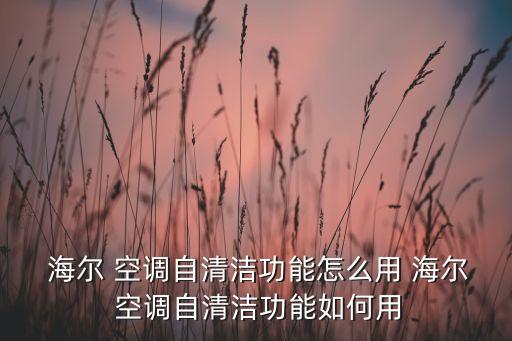  海爾 空調(diào)自清潔功能怎么用 海爾 空調(diào)自清潔功能如何用