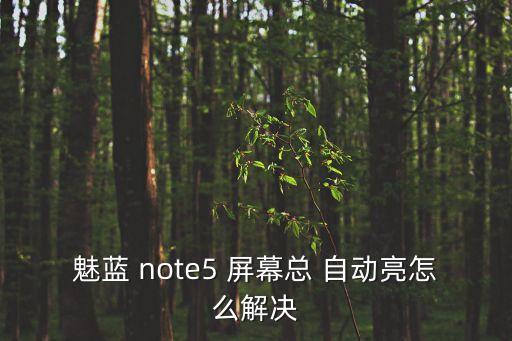 note5屏幕不自動關(guān)閉,魅藍note新手機要買什么?