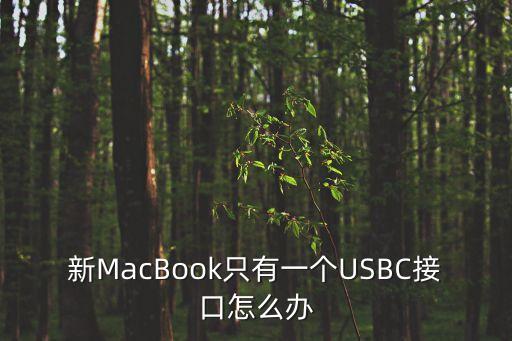 usb c數(shù)據(jù)線(xiàn) 拆解,三合一數(shù)據(jù)線(xiàn)拆解