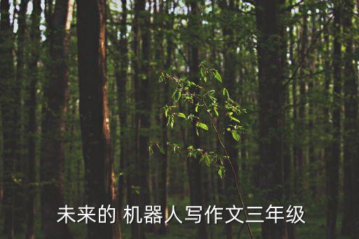  未來(lái)的 機(jī)器人寫(xiě)作文三年級(jí)