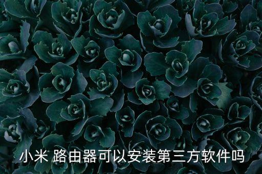  小米 路由器可以安裝第三方軟件嗎