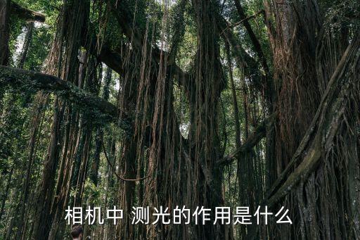 相機中 測光的作用是什么