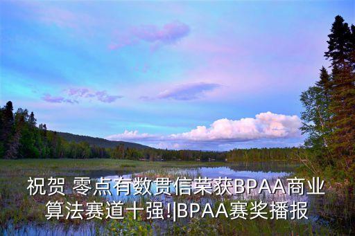祝賀 零點有數(shù)貫信榮獲BPAA商業(yè)算法賽道十強!|BPAA賽獎播報