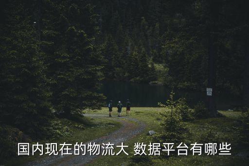 國內(nèi)現(xiàn)在的物流大 數(shù)據(jù)平臺有哪些