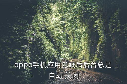 oppo r11應(yīng)用自動關(guān)閉,支付寶如何在后臺運(yùn)行?