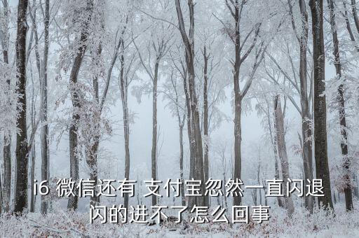 微信支付寶自動退出,如何使用華為手機(jī)支付bao?