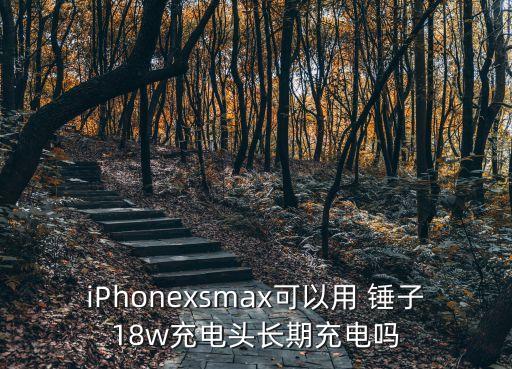 iPhonexsmax可以用 錘子18w充電頭長期充電嗎