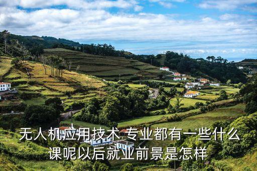  無(wú)人機(jī)應(yīng)用技術(shù) 專業(yè)都有一些什么課呢以后就業(yè)前景是怎樣
