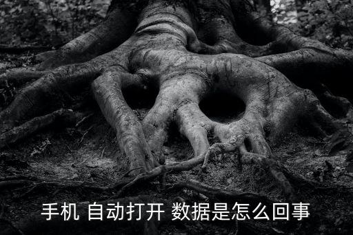 手機(jī) 自動(dòng)打開 數(shù)據(jù)是怎么回事