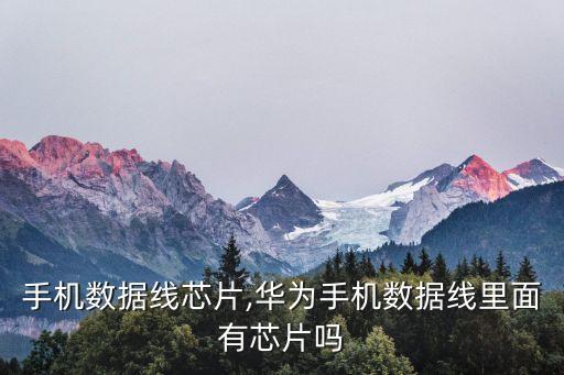 樂視手機數(shù)據(jù)線芯片,華為手機數(shù)據(jù)線里面有芯片嗎