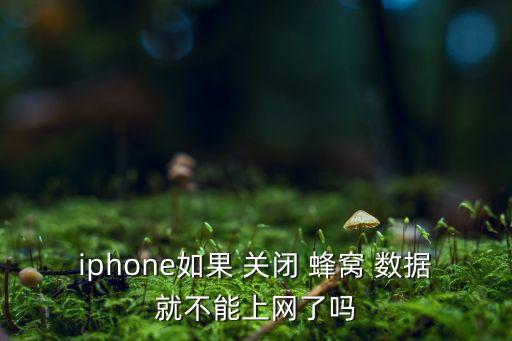 iphone如果 關(guān)閉 蜂窩 數(shù)據(jù)就不能上網(wǎng)了嗎