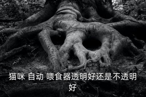 貓咪 自動(dòng) 喂食器透明好還是不透明好