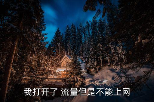 我打開了 流量但是不能上網