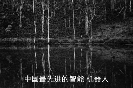 中國最先進的智能 機器人