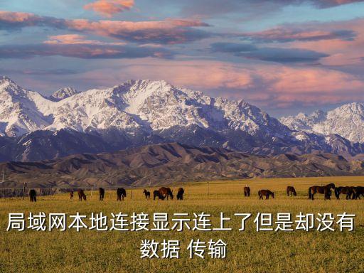 局域網(wǎng)本地連接顯示連上了但是卻沒有 數(shù)據(jù) 傳輸