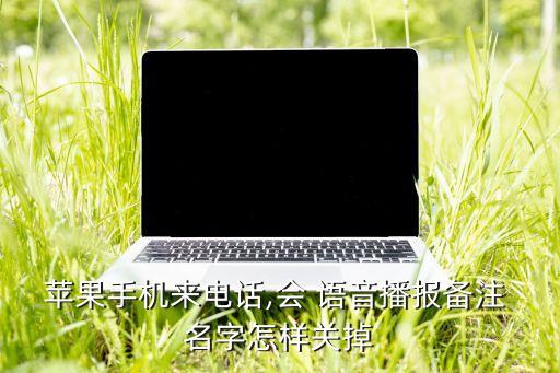 蘋果手機來電話,會 語音播報備注 名字怎樣關(guān)掉
