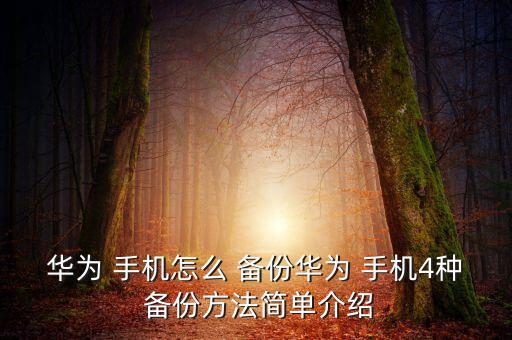 華為 手機(jī)怎么 備份華為 手機(jī)4種 備份方法簡(jiǎn)單介紹