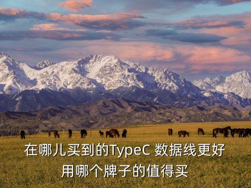 typec數(shù)據(jù)線哪款有賣,蘋果哪款用typec數(shù)據(jù)線