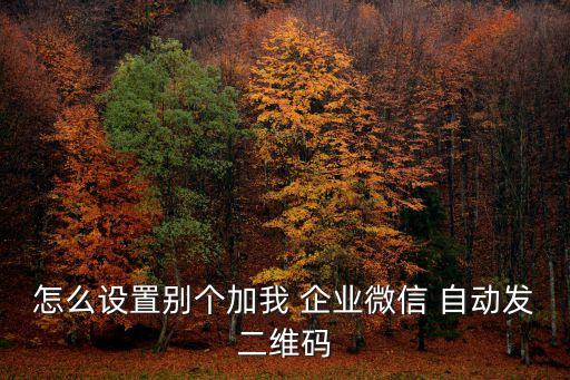 怎么設(shè)置別個加我 企業(yè)微信 自動發(fā)二維碼