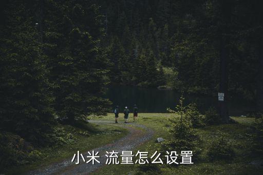 小米手機(jī)怎樣關(guān)閉數(shù)據(jù)流量套餐