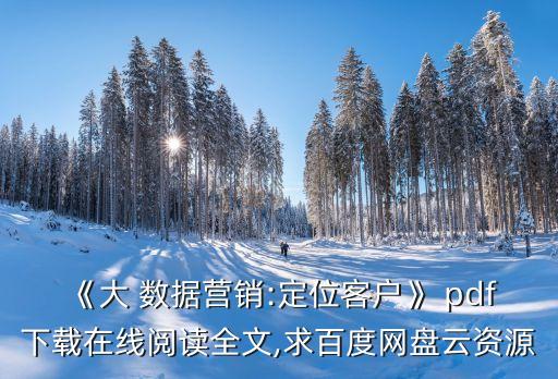 《大 數據營銷:定位客戶》 pdf下載在線閱讀全文,求百度網盤云資源