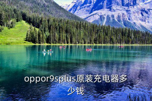 oppor9splus原裝充電器多少錢