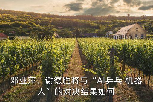 打乒乓球機(jī)器人,乒乓球機(jī)器人陪練機(jī)