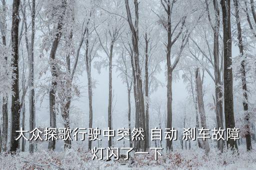 自動(dòng)剎車事故,前方障礙物或造成威脅時(shí)剎車系統(tǒng)會自動(dòng)剎車