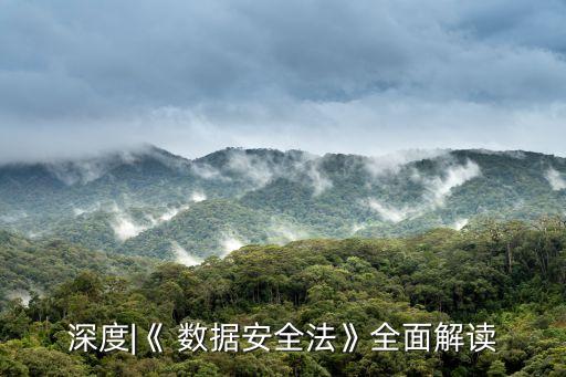 深度|《 數(shù)據(jù)安全法》全面解讀
