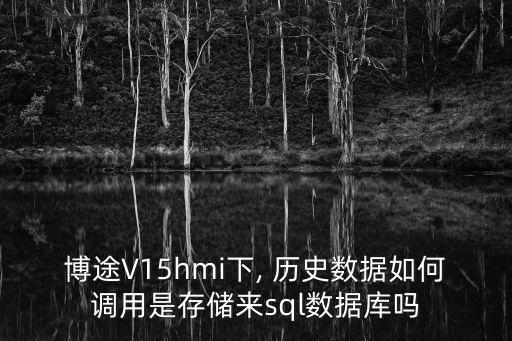 博途V15hmi下, 歷史數(shù)據(jù)如何調(diào)用是存儲(chǔ)來sql數(shù)據(jù)庫嗎