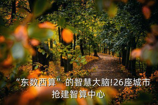 “東數(shù)西算”的智慧大腦!26座城市搶建智算中心