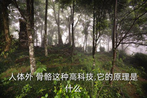 人體外 骨骼這種高科技,它的原理是什么