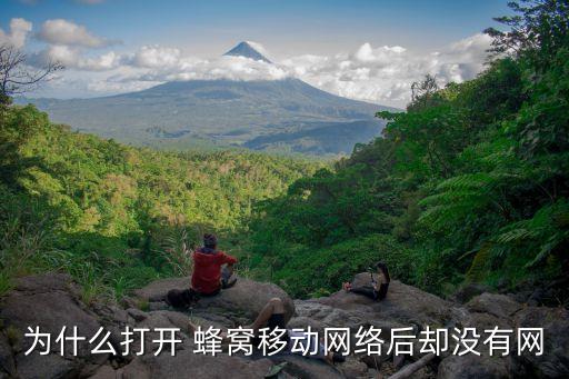 為什么打開(kāi) 蜂窩移動(dòng)網(wǎng)絡(luò)后卻沒(méi)有網(wǎng)