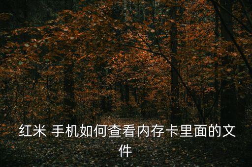  紅米 手機如何查看內存卡里面的文件