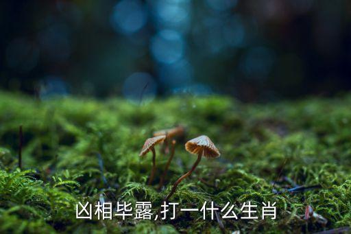 好拍檔數(shù)據(jù)線怎么樣,湖南京拍檔公司怎么樣