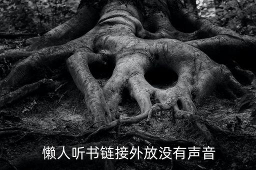  懶人聽(tīng)書(shū)鏈接外放沒(méi)有聲音