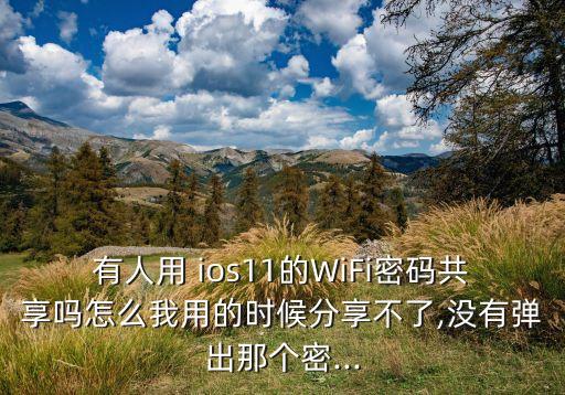 有人用 ios11的WiFi密碼共享嗎怎么我用的時候分享不了,沒有彈出那個密...