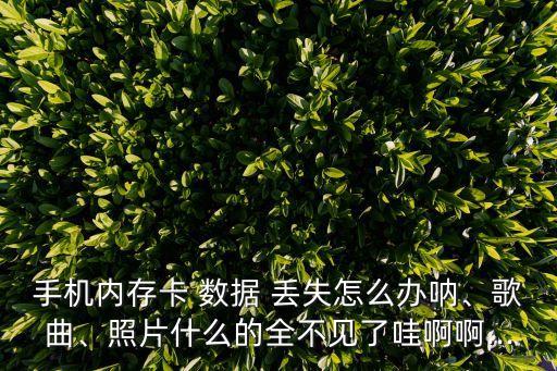 卡上所有數(shù)據(jù)都會丟失