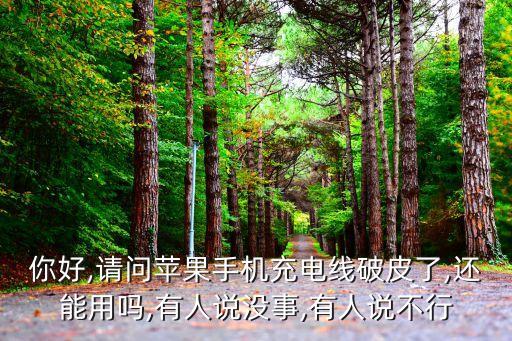 你好,請問蘋果手機(jī)充電線破皮了,還能用嗎,有人說沒事,有人說不行
