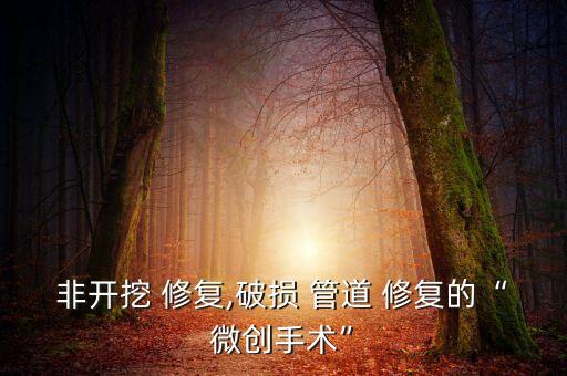 非開挖 修復(fù),破損 管道 修復(fù)的“微創(chuàng)手術(shù)”