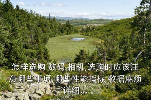 數(shù)碼相機(jī)銷售數(shù)據(jù),洛陽數(shù)碼相機(jī)銷售地址在哪里