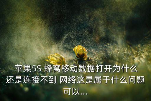 蘋(píng)果5s蜂窩數(shù)據(jù)網(wǎng)絡(luò)怎么設(shè)置不了,蘋(píng)果切換蜂窩數(shù)據(jù)以后主卡沒(méi)網(wǎng)絡(luò)