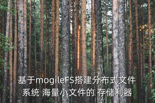 海量數(shù)據(jù)存儲(chǔ)建設(shè)方案,mongodb海量數(shù)據(jù)存儲(chǔ)