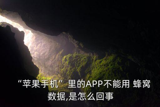 “蘋果手機”里的APP不能用 蜂窩 數(shù)據(jù),是怎么回事