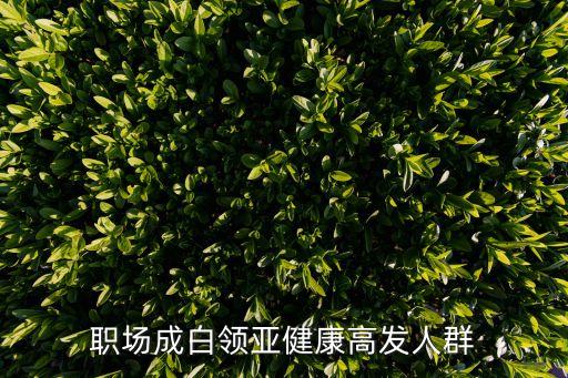 職場成白領(lǐng)亞健康高發(fā)人群
