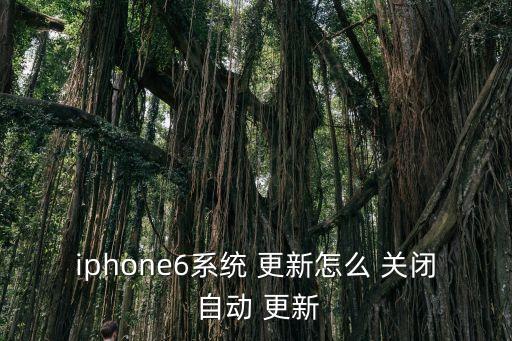 蘋果六自動(dòng)更新怎么關(guān)閉,蘋果手機(jī)關(guān)閉-3更新方法如下